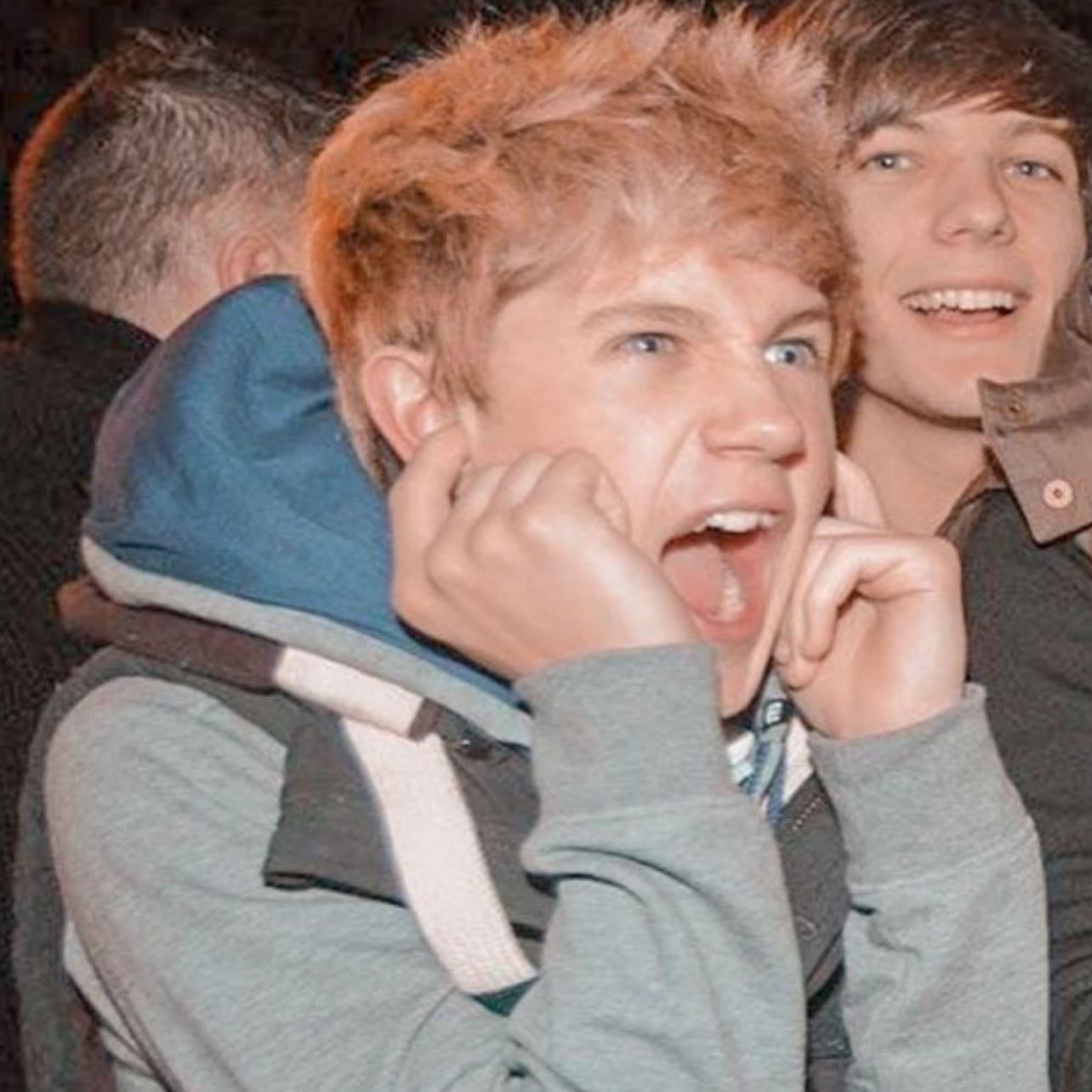 Fetus niall🩷🩷 - Watching fireworks, looking adorable ✨