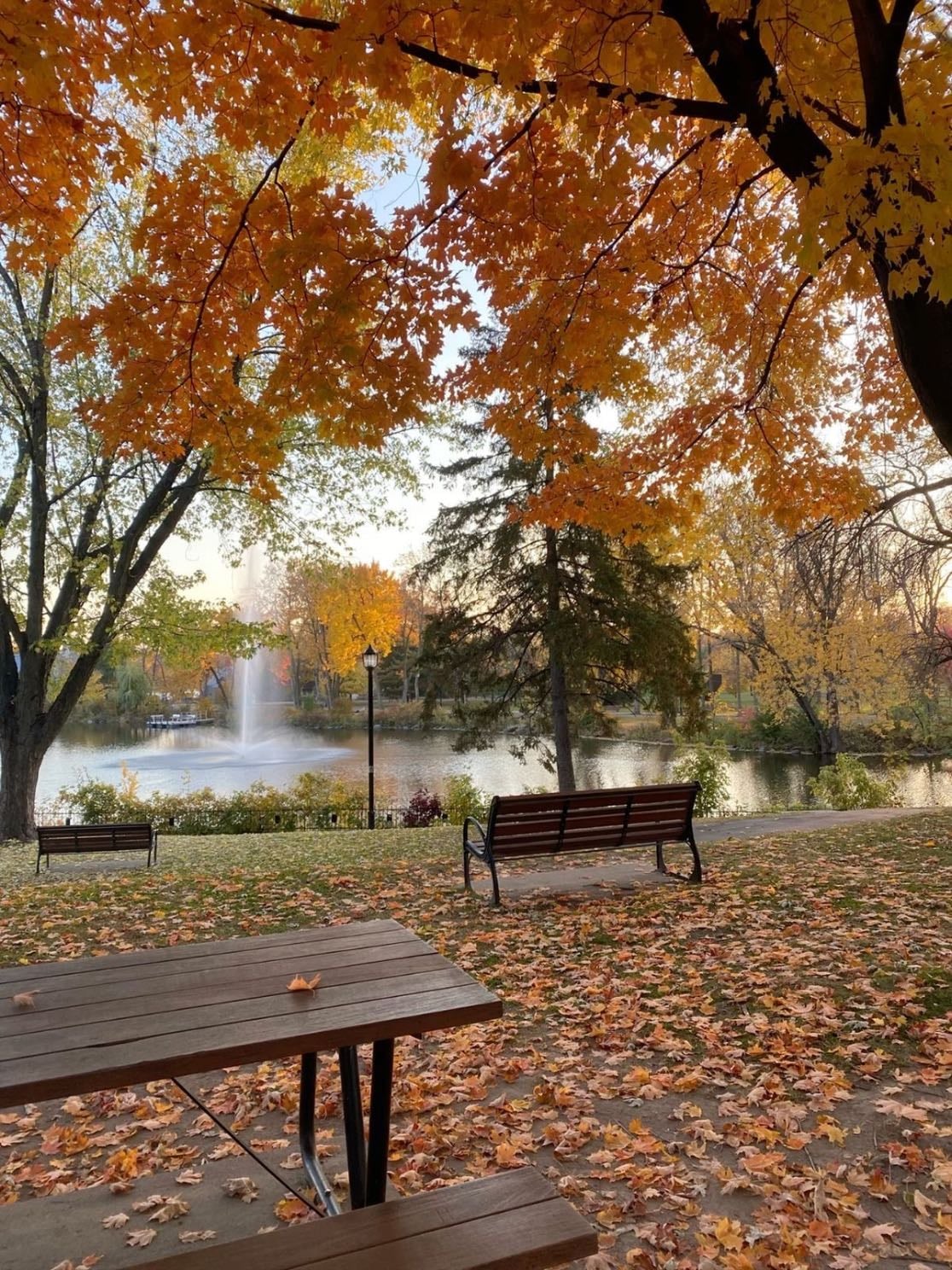 Ir a Canadá en otoño 🍁 - Caminar sobre hojas secas mientras tomo un latte caliente y reflexiono sobre mi vida con música de fondo