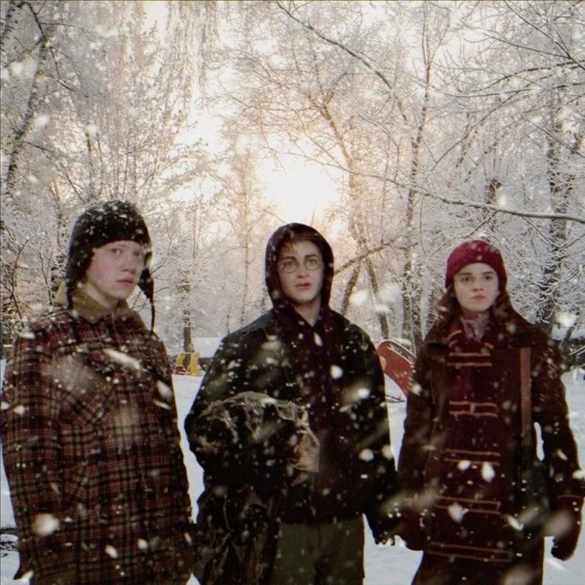 Harry Potter and the Goblet of Fire - Mike Newell · 2005