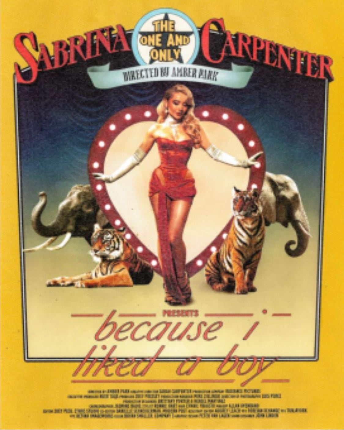Because I liked a boy - Sabrina Carpenter