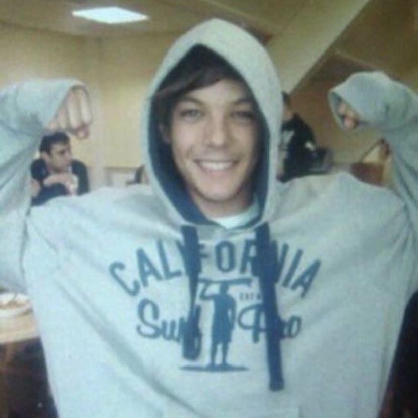 Lou - Louis is my everything. My rock. His smile, his voice, the meaning behind his lyrics, just everything that has to do with him. I lost important people and animals I think about every day. Every day I worry about the people I love and every day I listen to his songs and watch his interviews to make my Brain shut up for a bit. I know that he felt this pain, losing a loved one, too and I’m so incredibly sorry because this pain lives with you every day. I think knowing that he understands this pain gives me comfort in some way. He’s the purest soul ever. I’m sure he has some dark sides. Maybe things he did in the past he still thinks about this day. I just want him to know that we’re here for him just like he’s for us. He saved me in ways I hope I can tell him one day