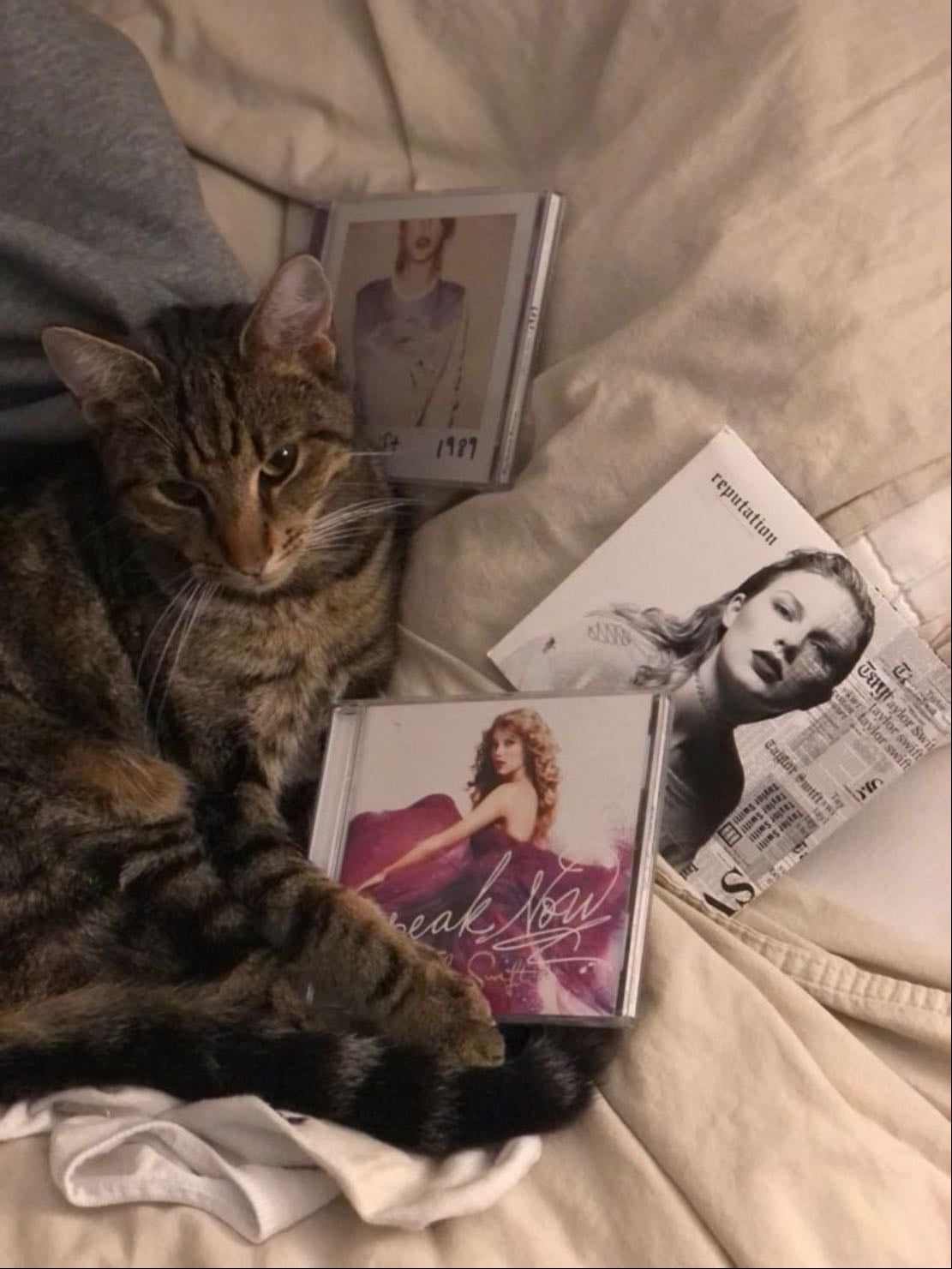 Ser pop girl - TAYLOR SWIFT, OLIVIA RODRIGO, SABRINA, riannha, ariana, meghan trainor, sza,