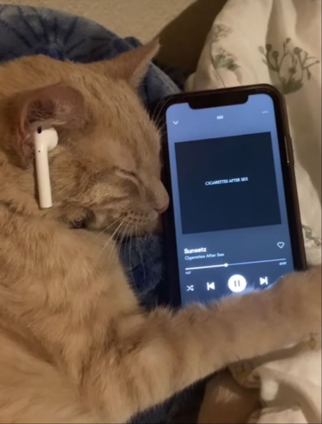 Funk - Um fankão estourando no fone