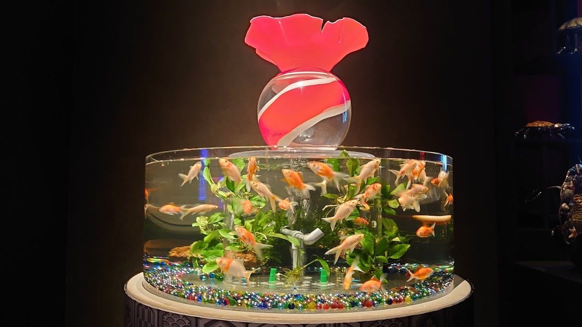 ART AQUARIUM MUSEUM