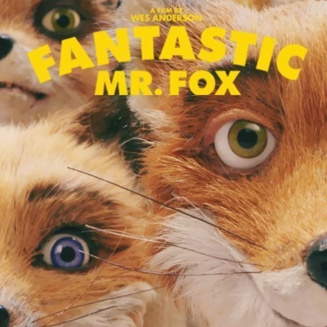 fantastic mr. fox - Wes Anderson · 2009
