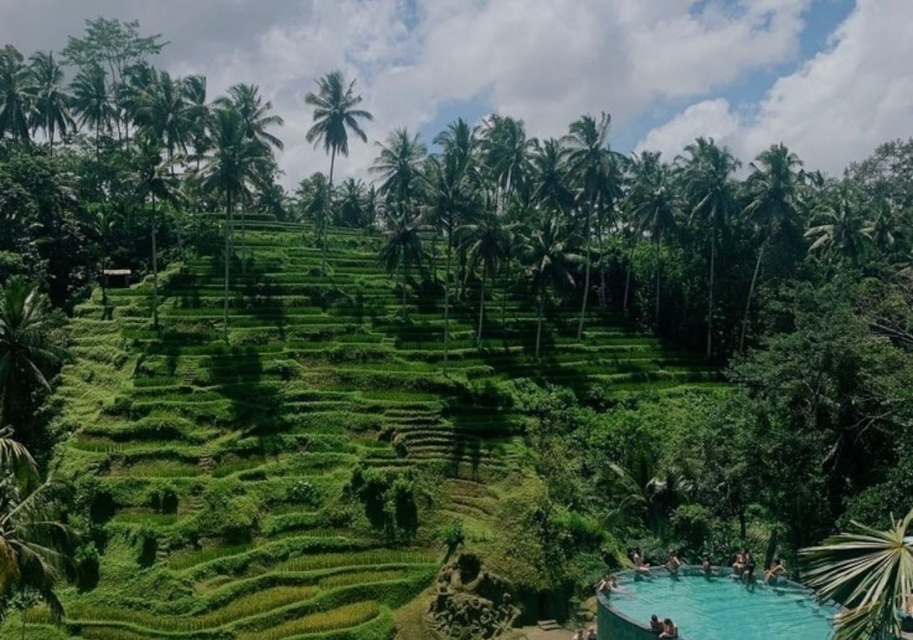 bali - indonesia
