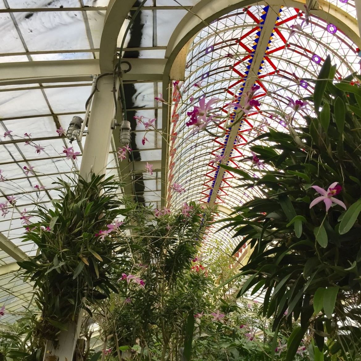 Jardín Botánico del Bosque de Chapultepec