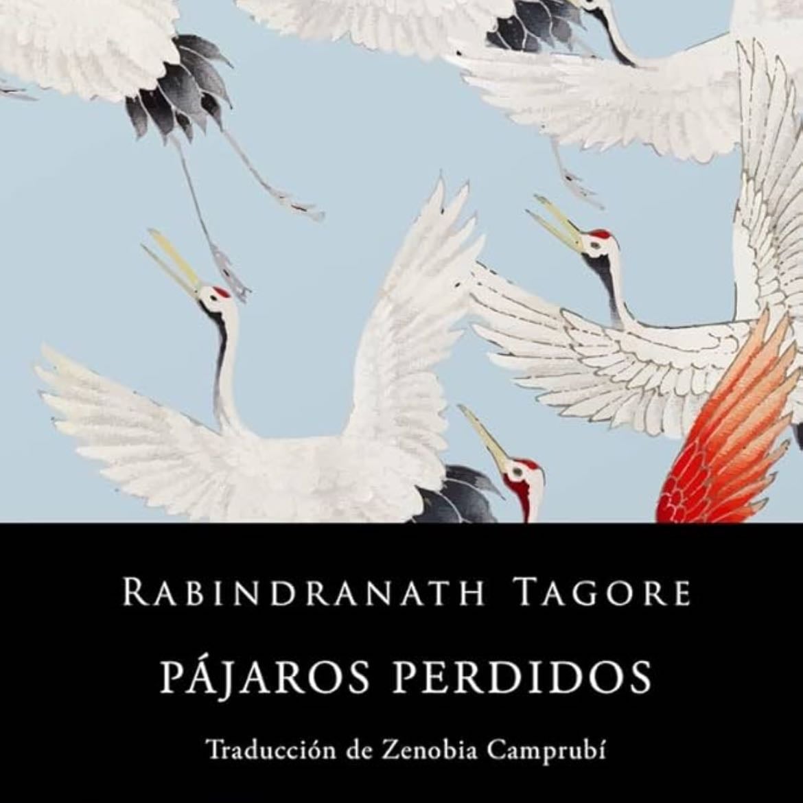 Pájaros perdidos - Rabindranath Tagore