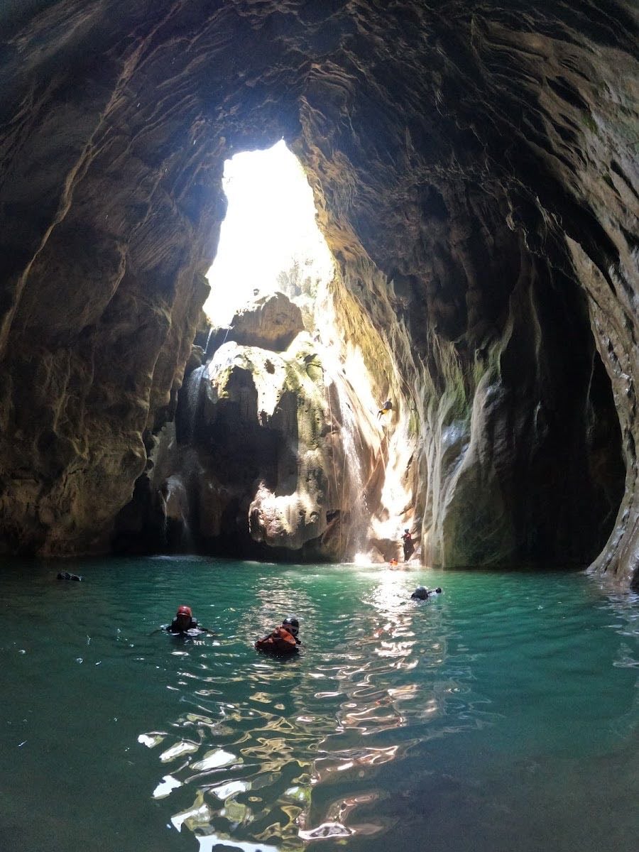 Matacanes