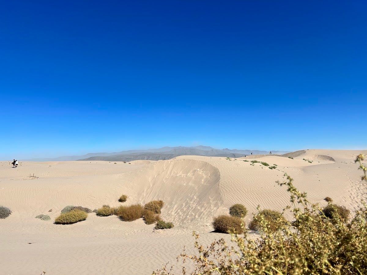 Dunas de Bilbao