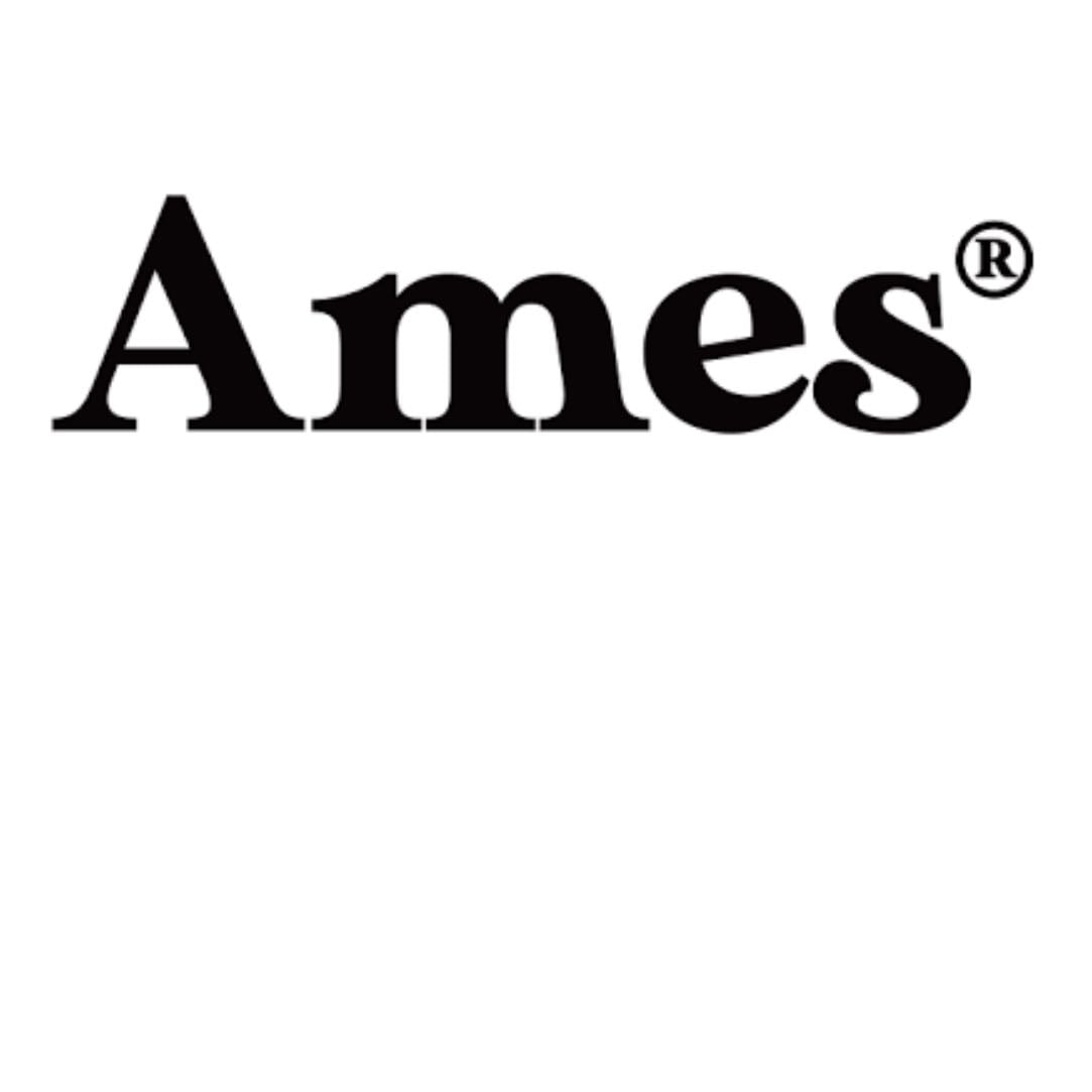 Ames worldwide - korean brand