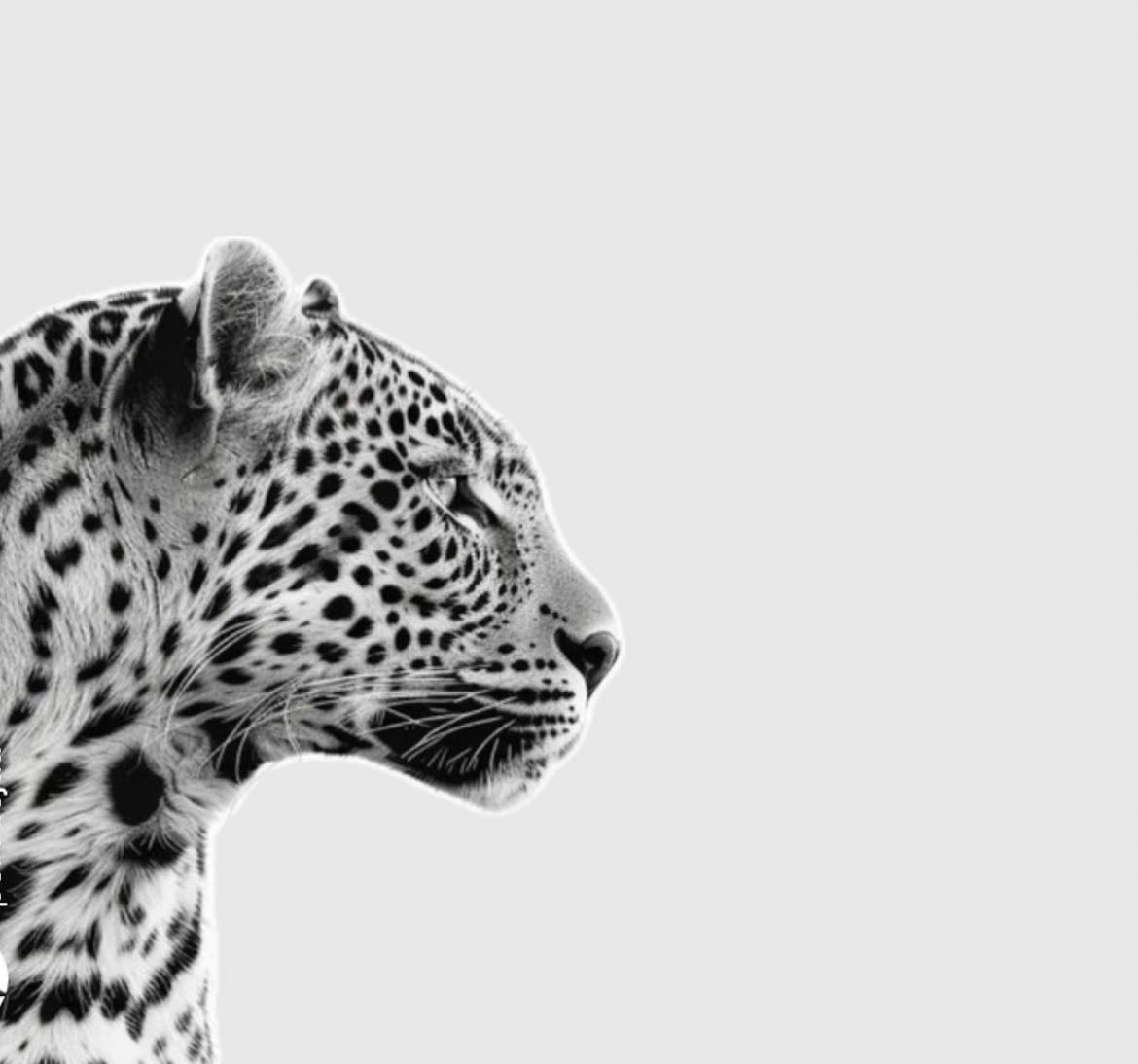 Wishlist sephora 🪩🍸🐆 - Products hypelist by Alejandra Fernández