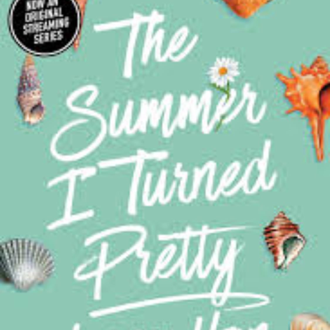The summer i turned pretty - Jenny han