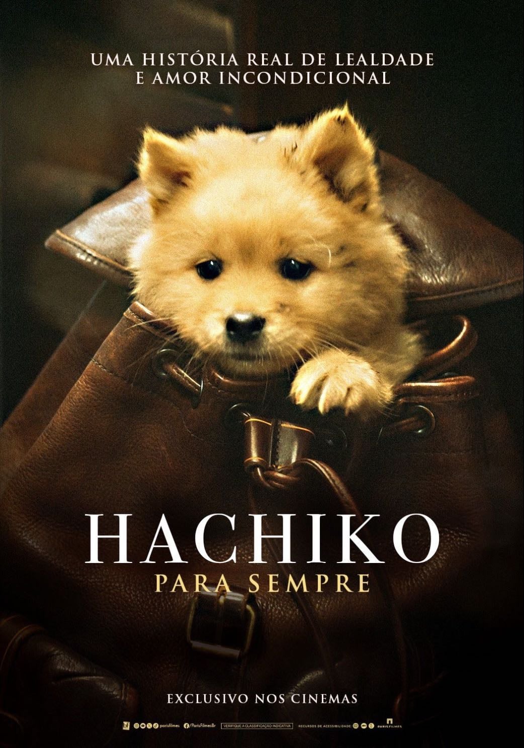 Siempre a tu Lado:Hachiko - Lasse Hallström · 2009