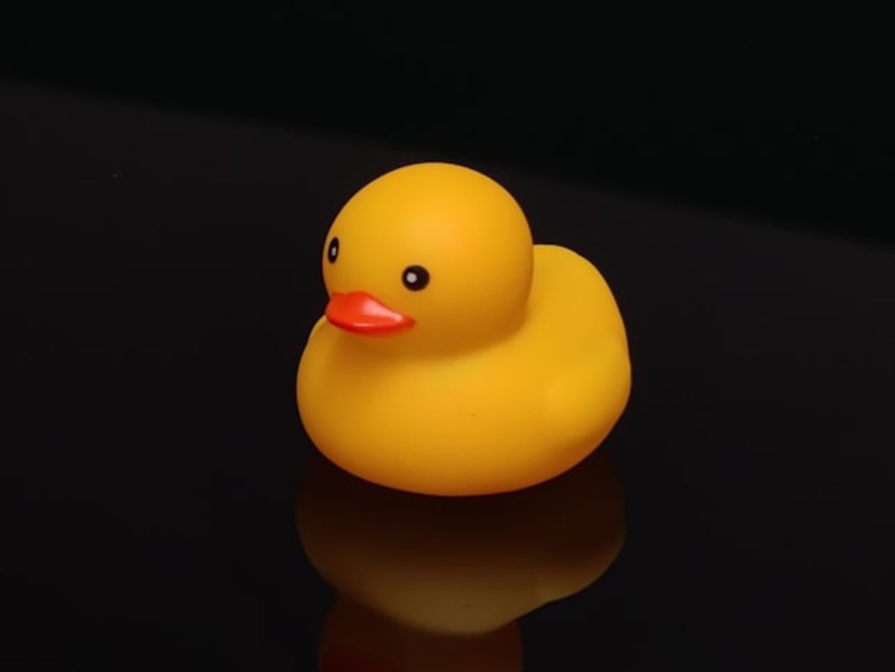 little duck - essential
