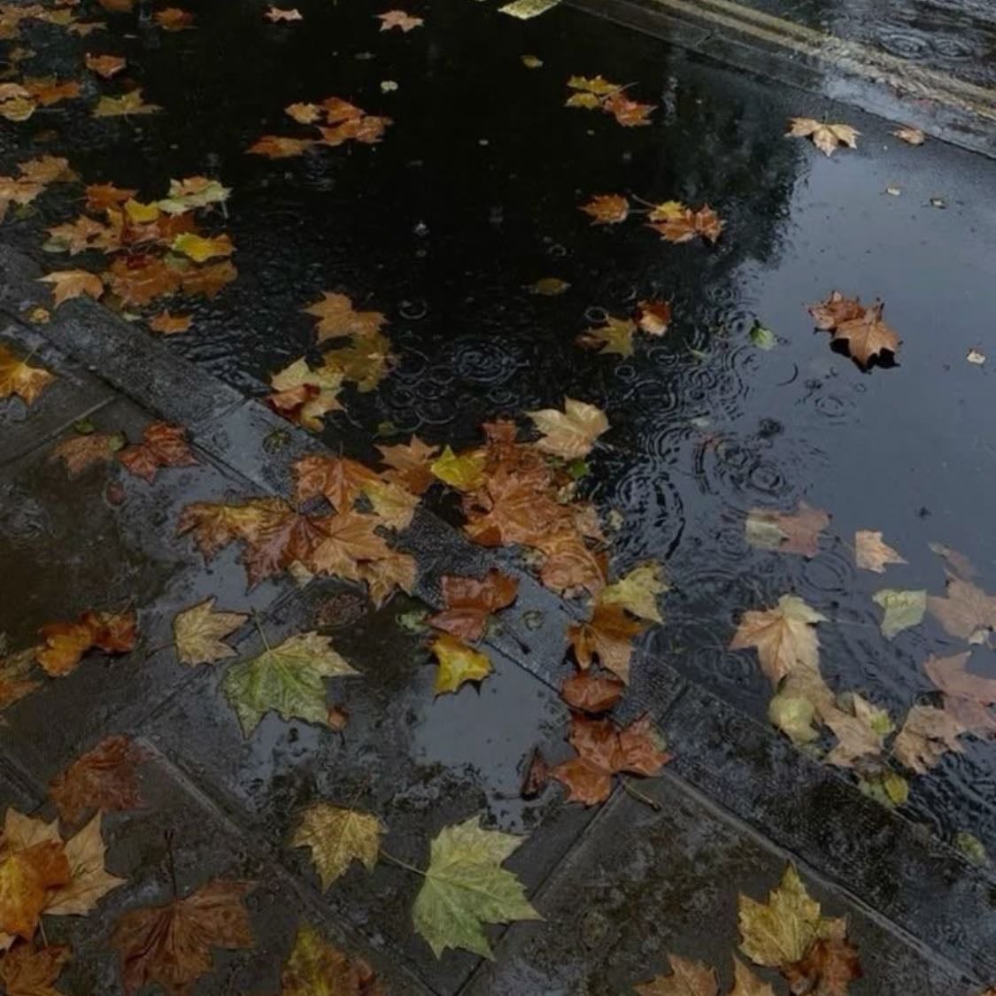 « I’m so glad I live in a world where there are Octobers »