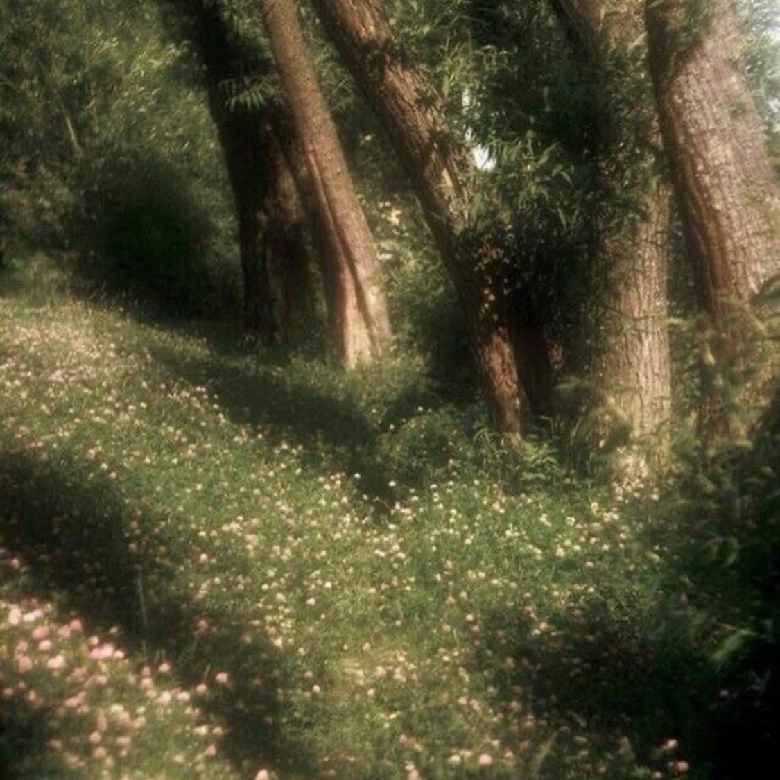 « All we have to decide is what to do with the time that is given to us » - Tolkien