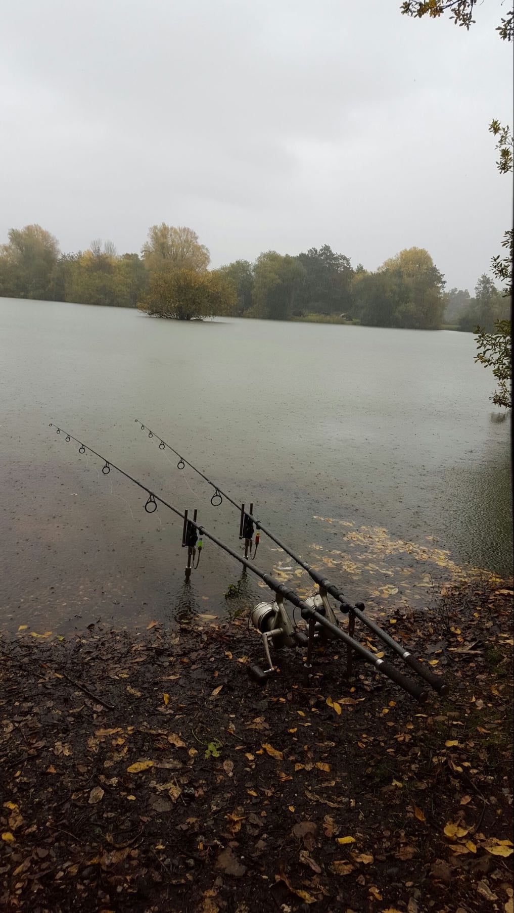 going fishing