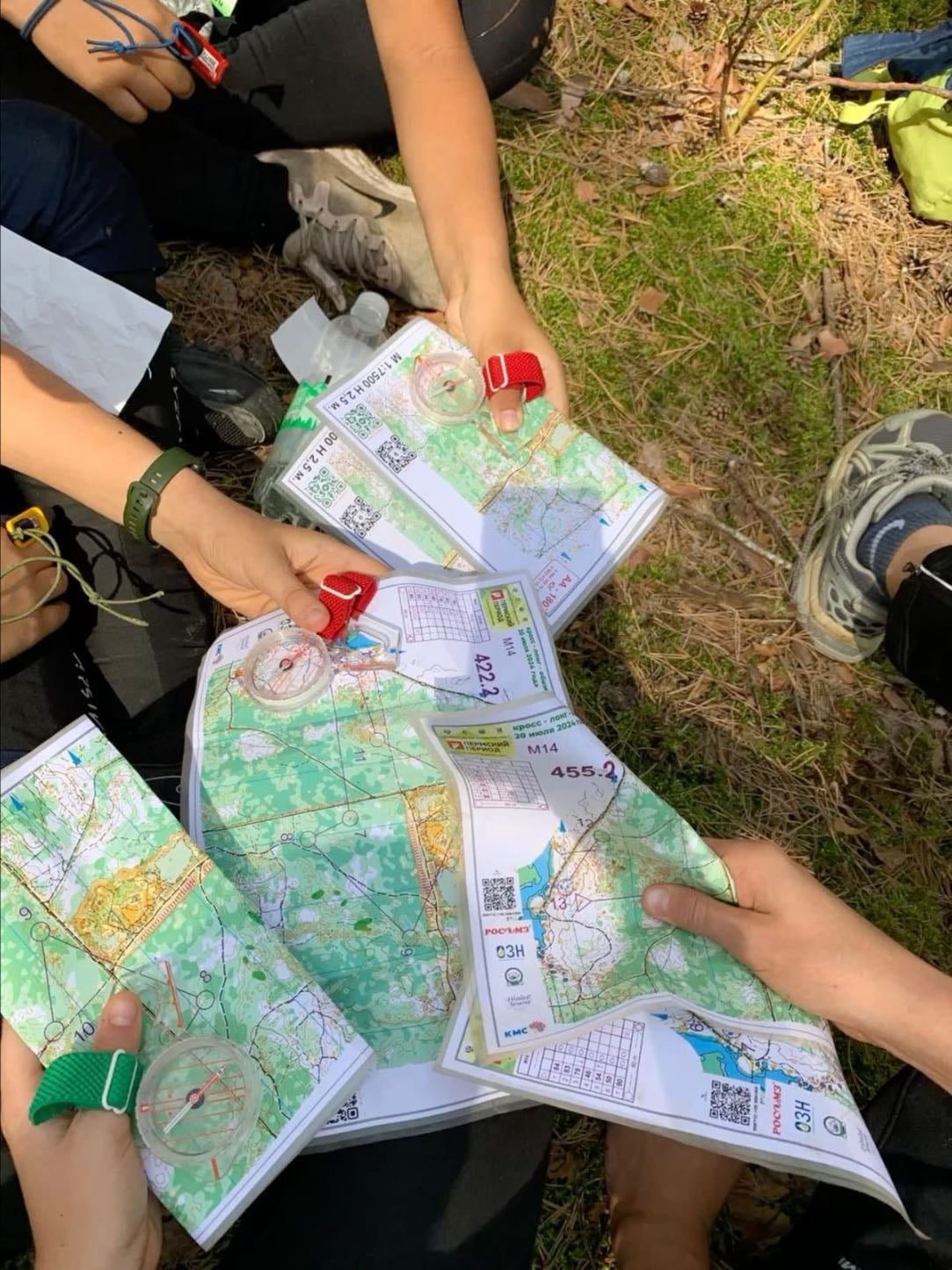 orienteering in the woods