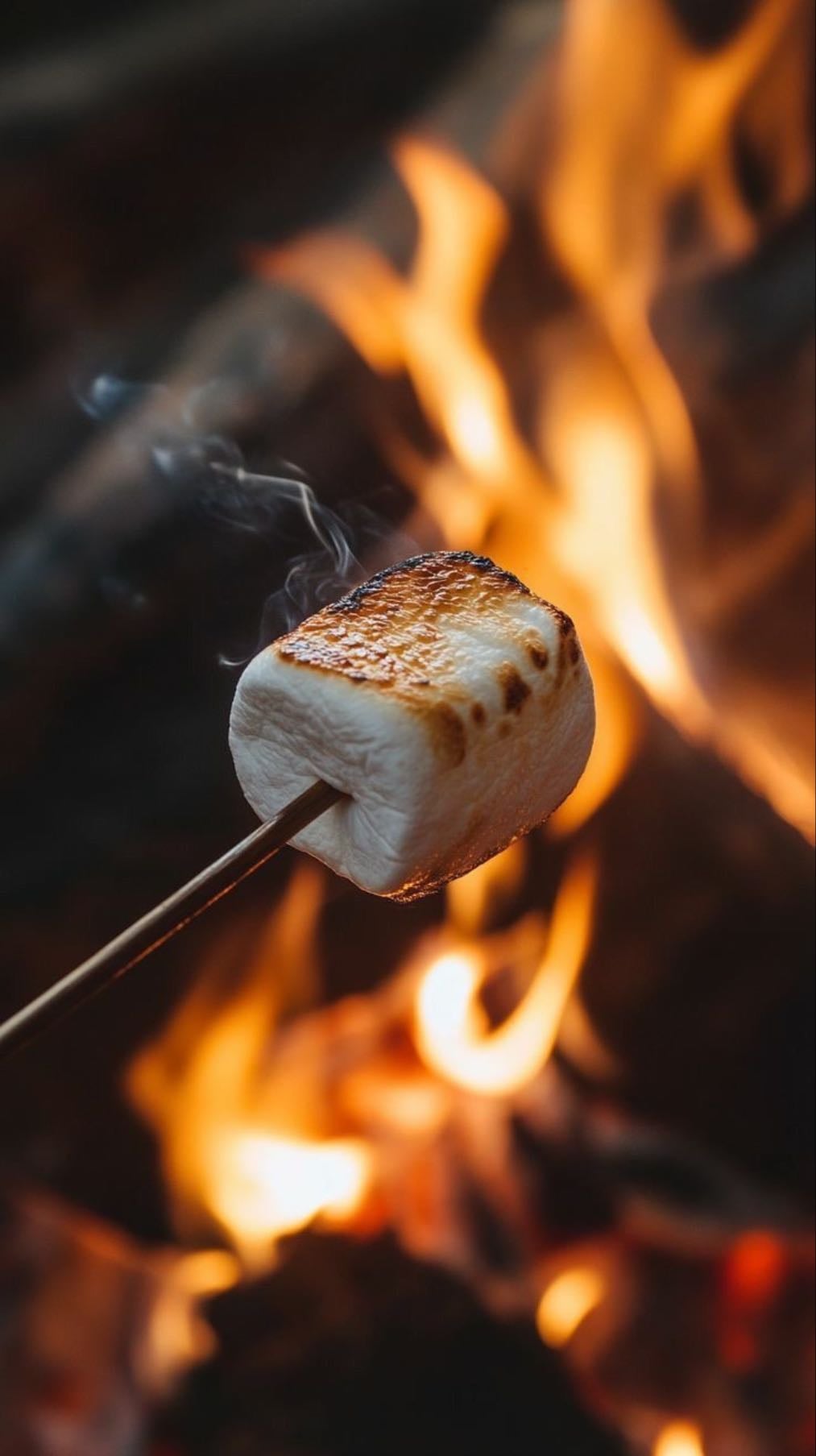 campfire with marshmallows