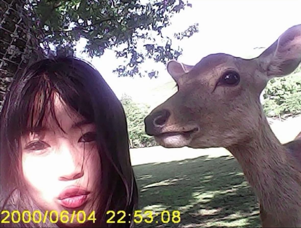 Nara Park