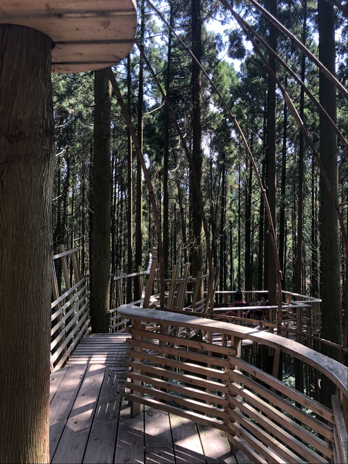 Forest Cafe Midori no Oto