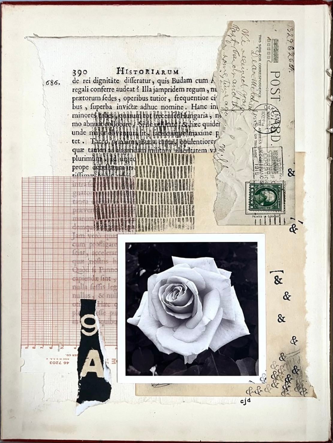 collage