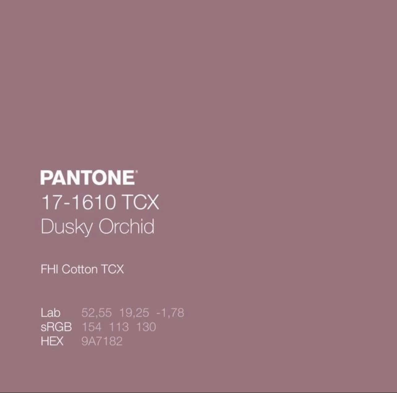 17-1610 TCX - Dusky