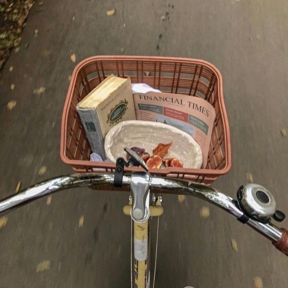 Rode a bike