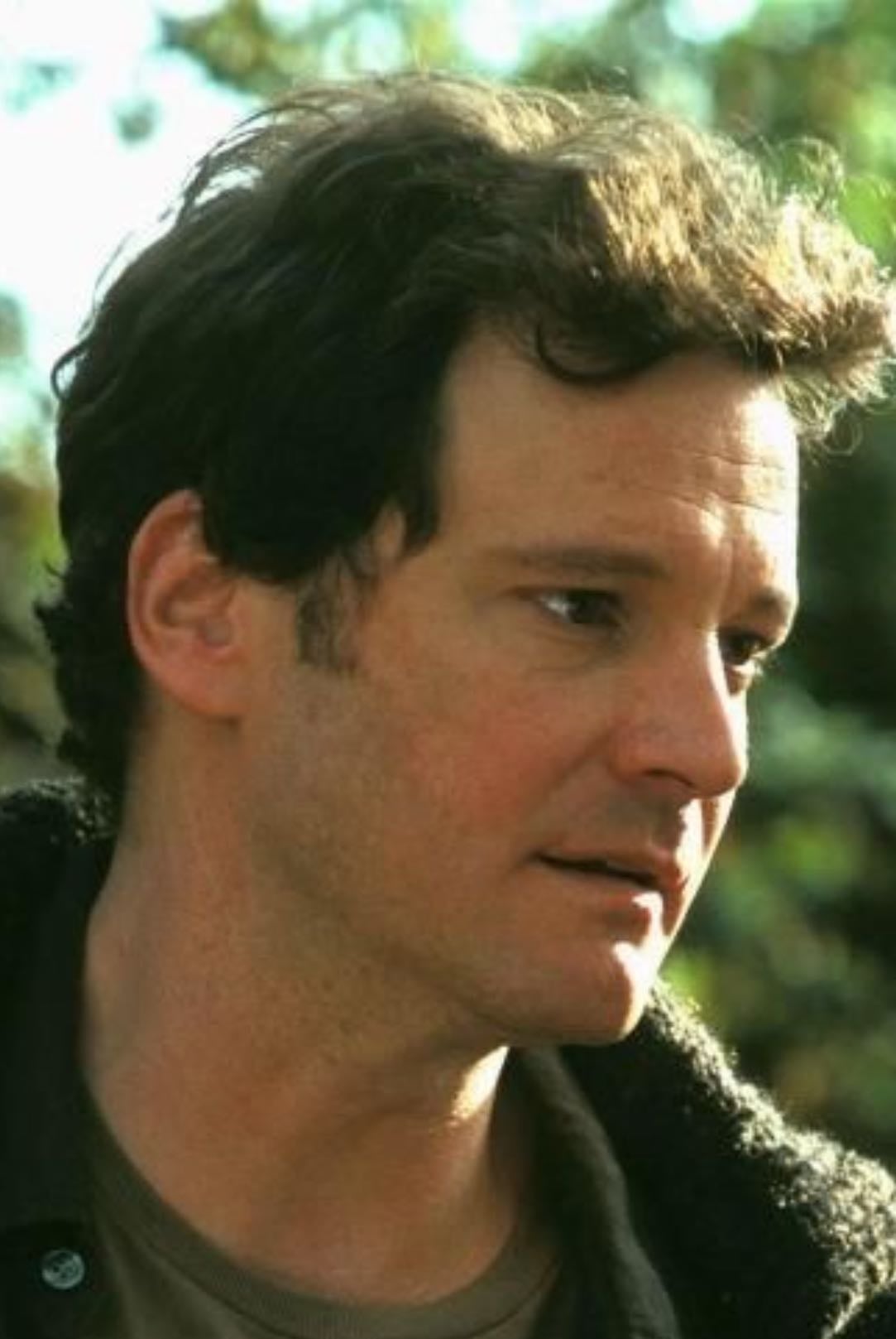 Mark Darcy - Bridget Jones's Diary