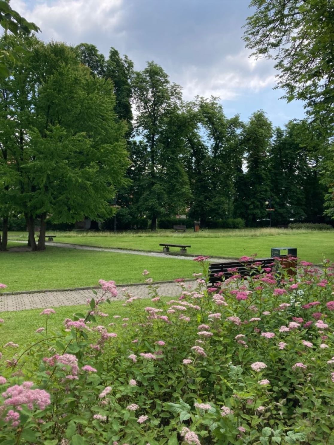 ve a un parque cercano - puede ser para pasear, para leer…