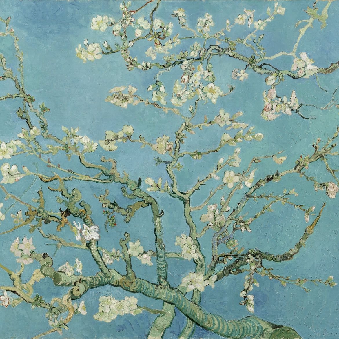 Almond Blossoms - van gogh, 1890
