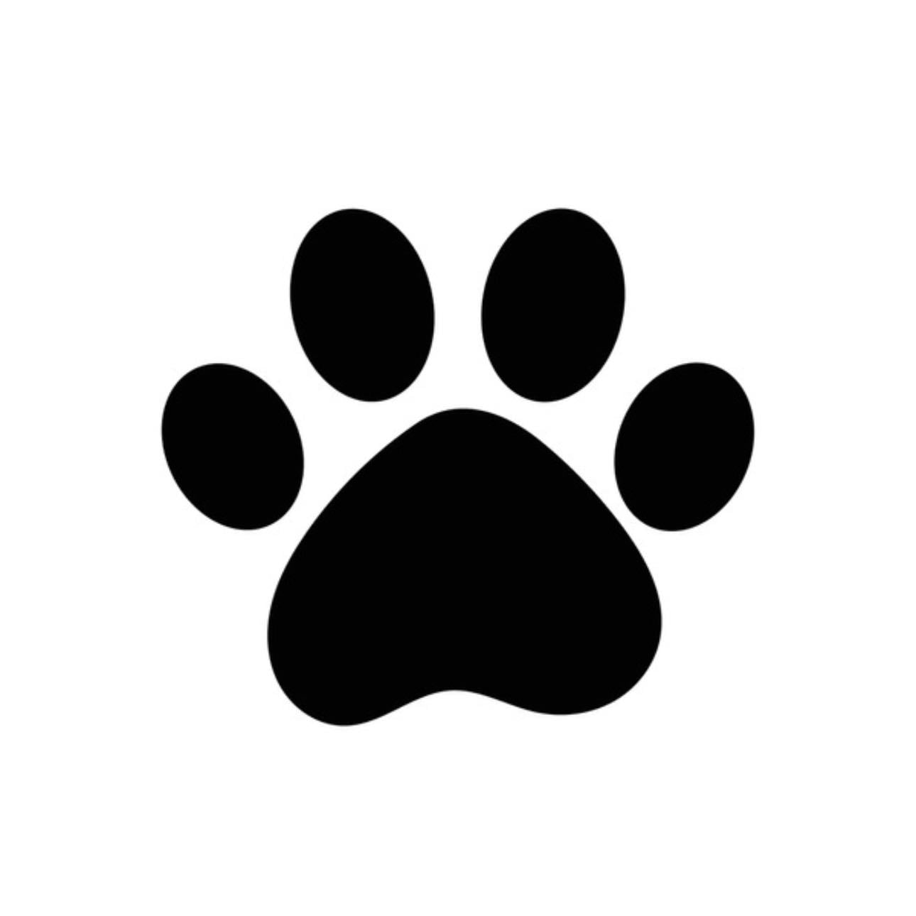 Doguilosophy - Rescue Dogs