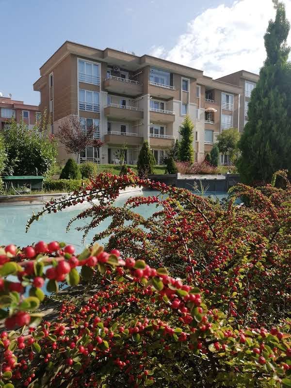 Kocaeli