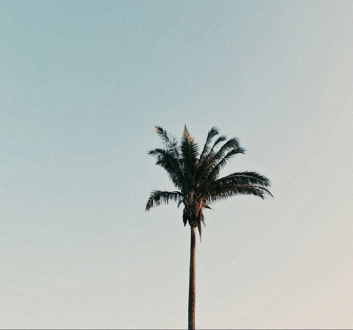 fav 📀 - Music hypelist by Chiara