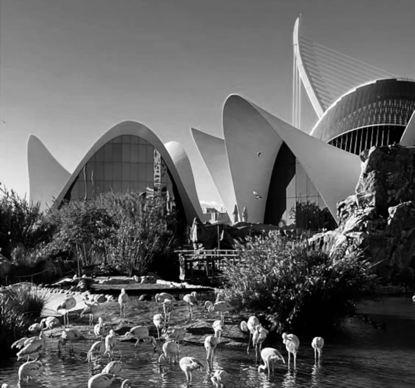 Valencia 🇪🇸