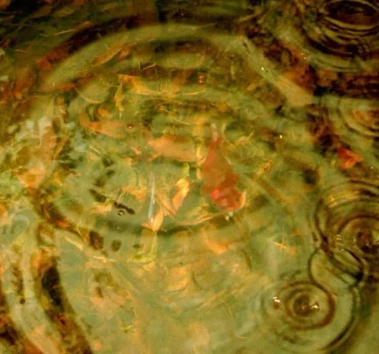 pabosracha~