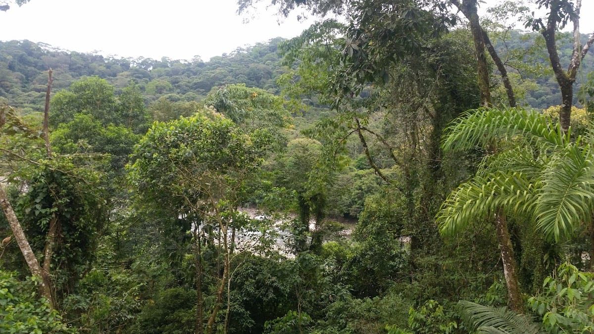 Parque Nacional Carrasco