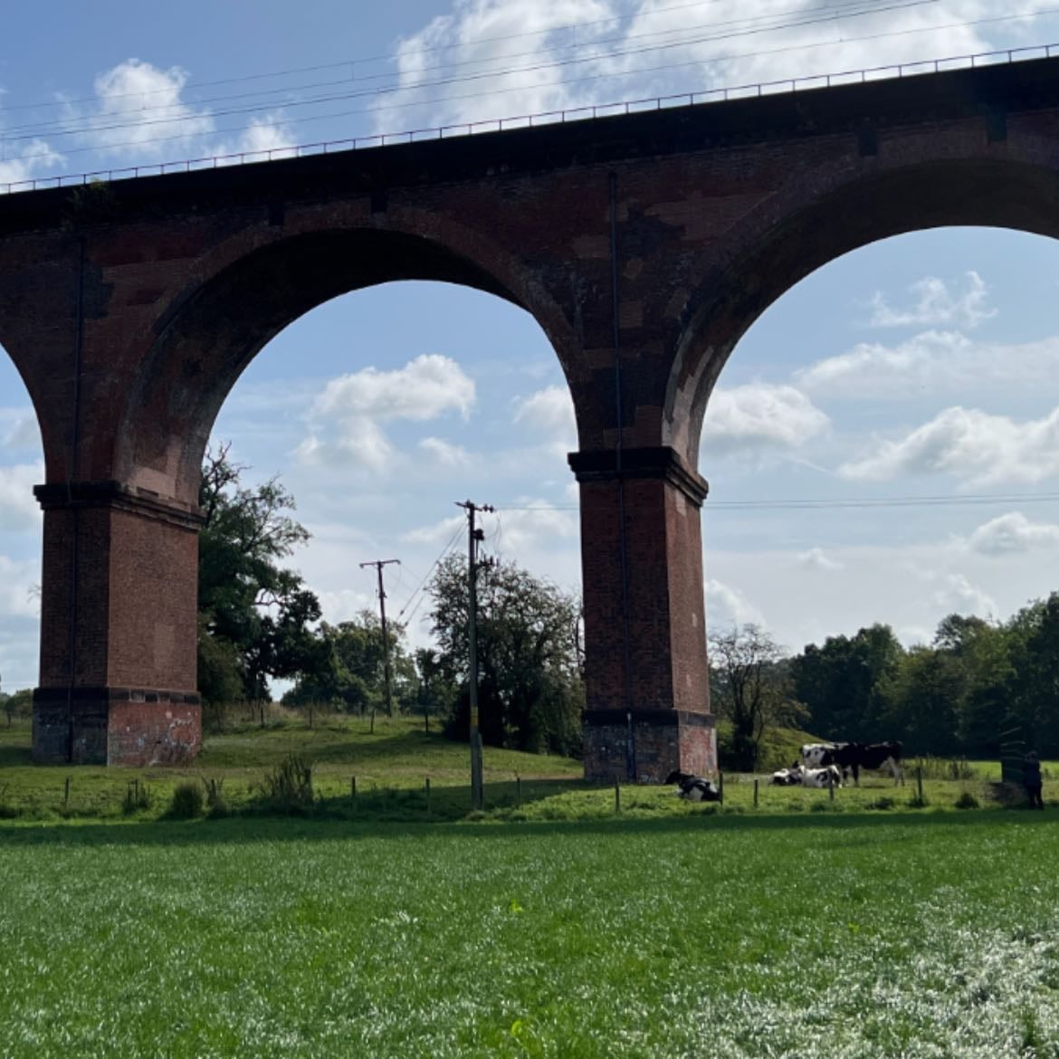 The viaduct- the harry wall - Here there are lots of messages they people have wrote for harry