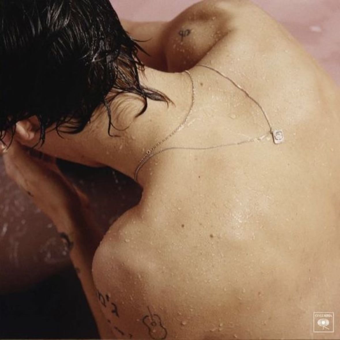 HS1 - Harry Styles