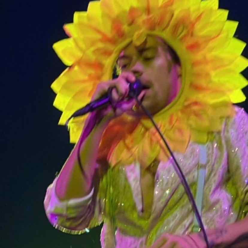 Sunflower, Vol. 6