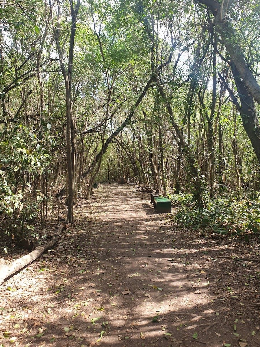 Reserva Natural Urbana de Morón