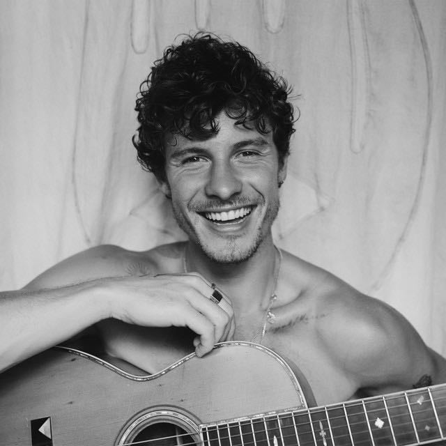 Shawn Mendes - Artist