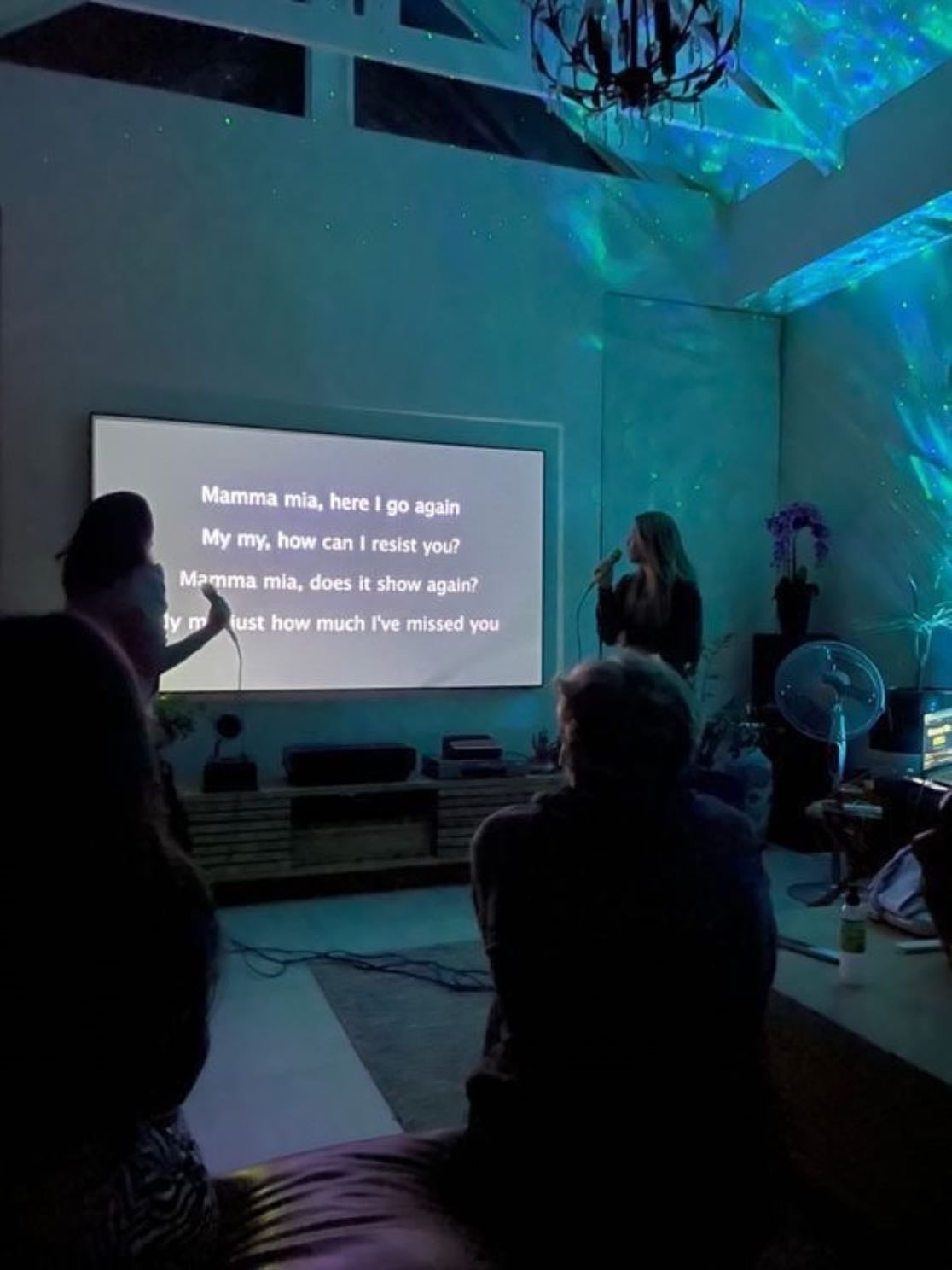 Cantar en Karaoke - Ir a un local o en casa con amigos