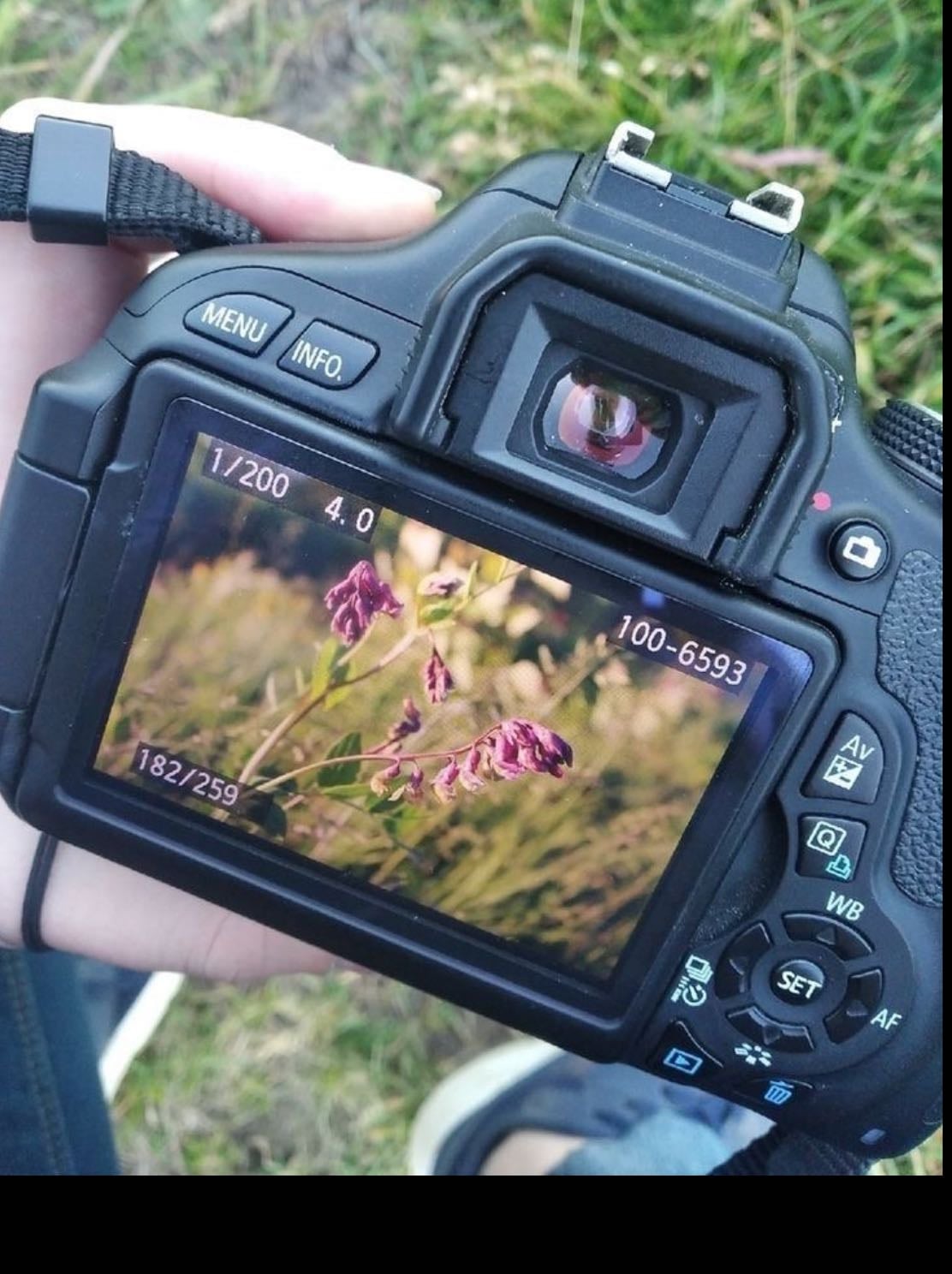 Hacer fotos bonitas - Al paisaje, a amigos, a ti misma… etc