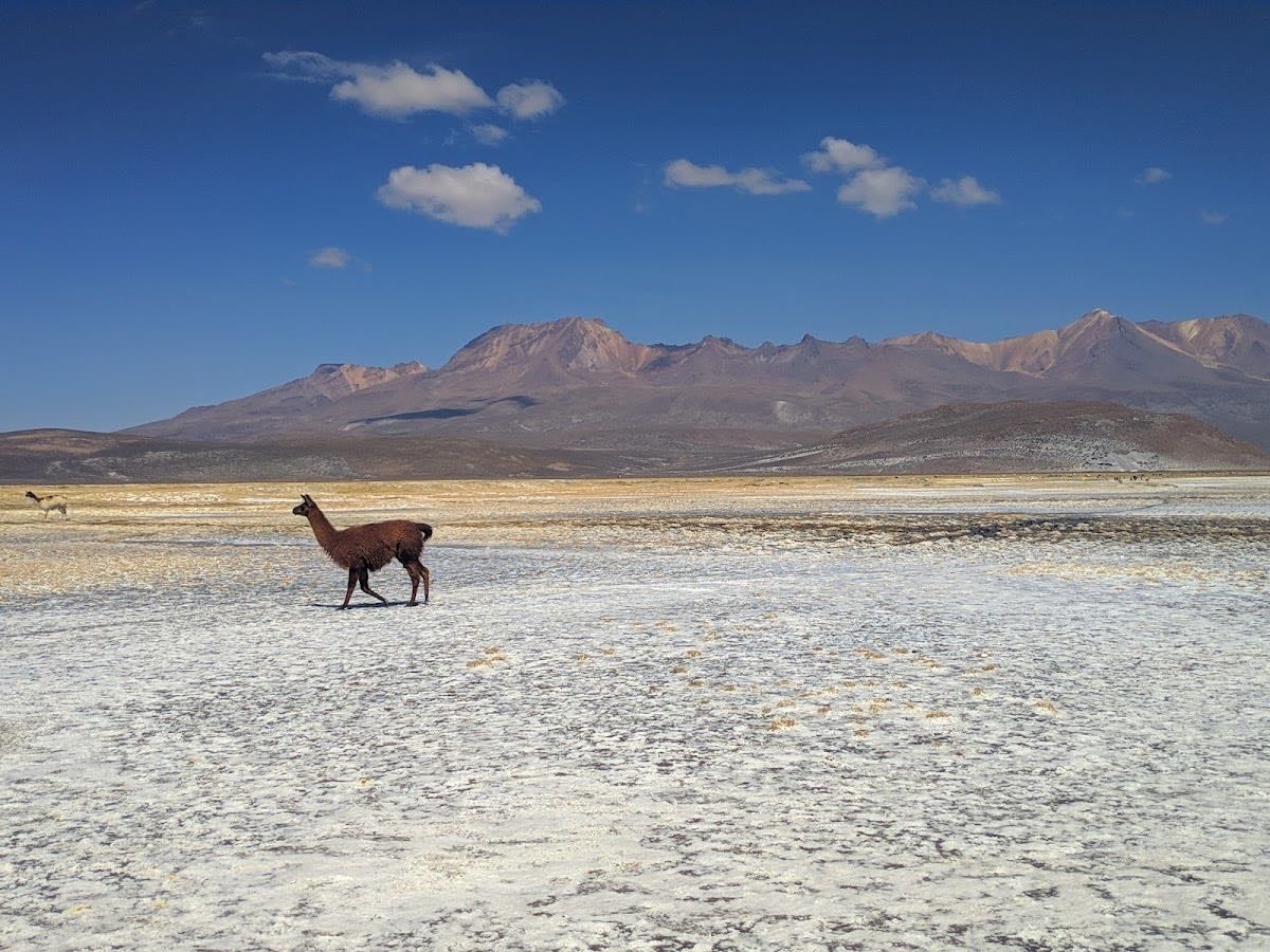 Laguna de Salinas