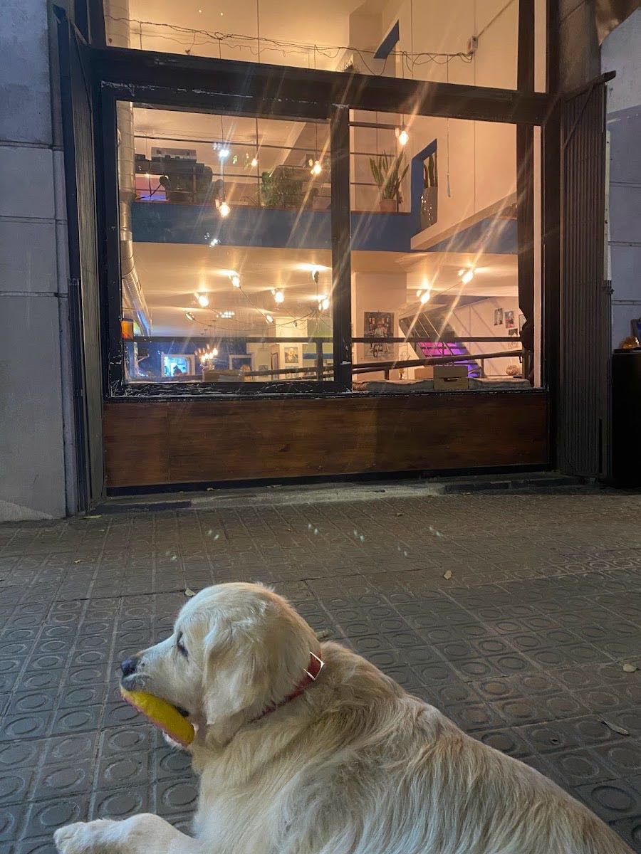 Perros Mediterráneos