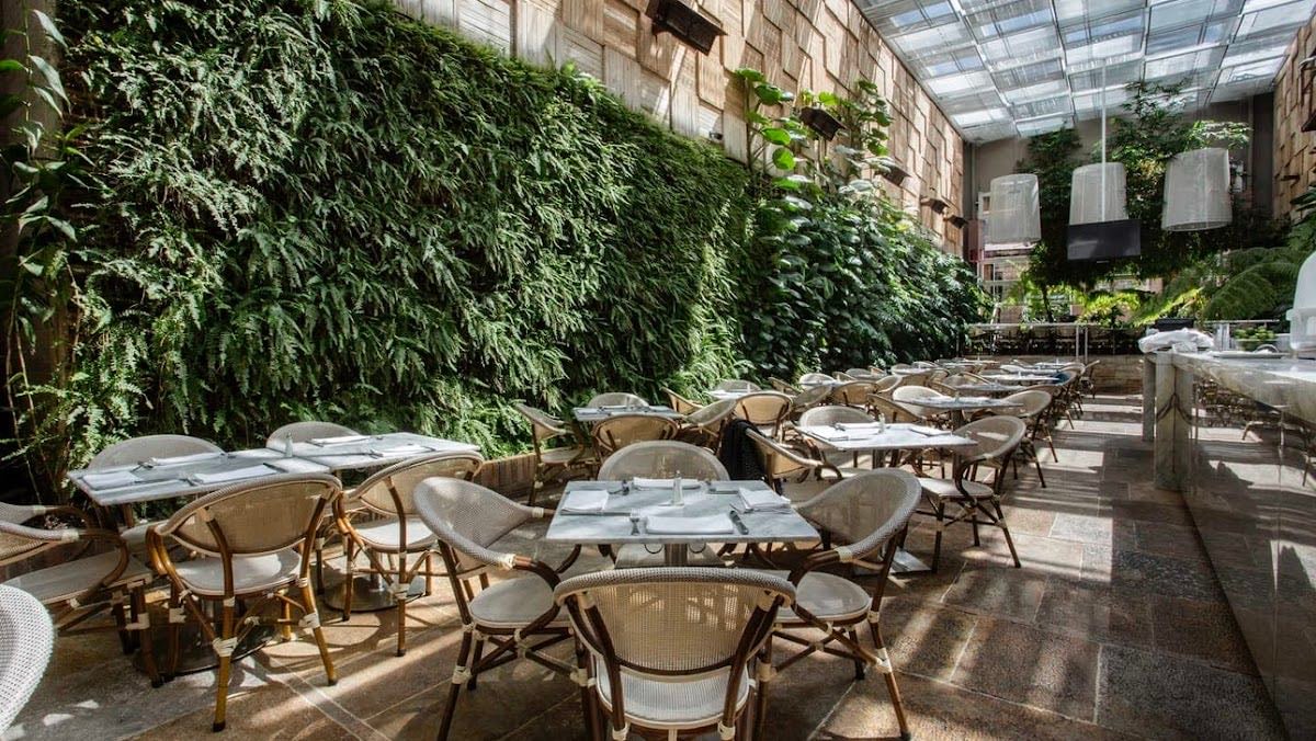 Café Amarti - Italian