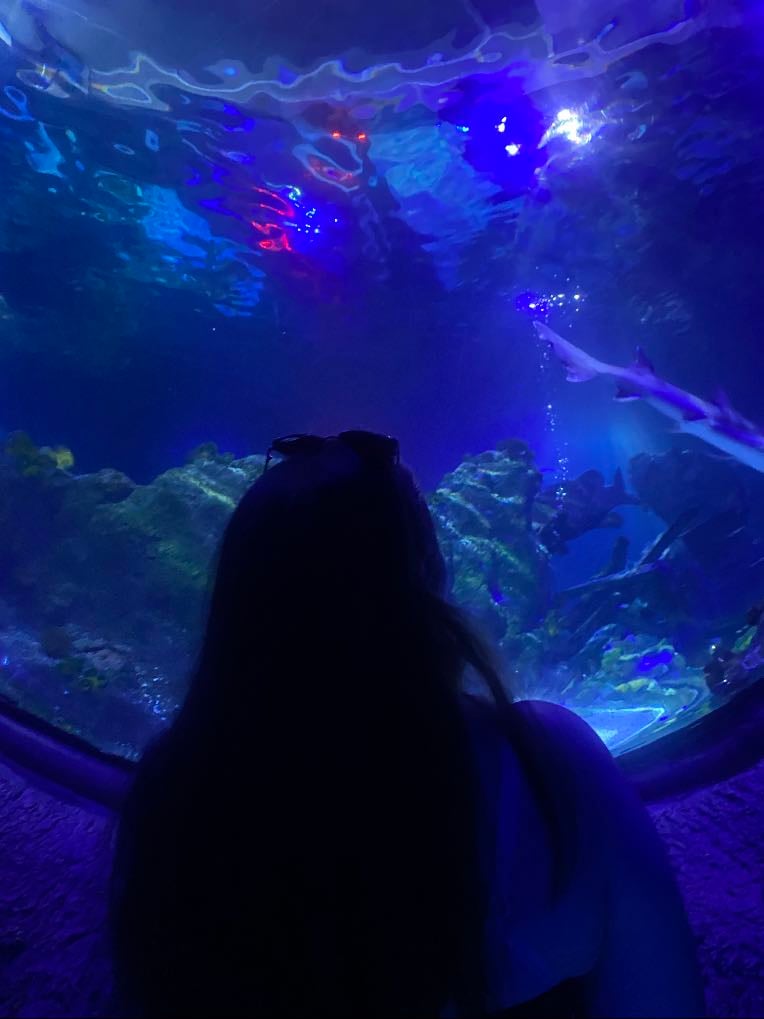 Aquarium date
