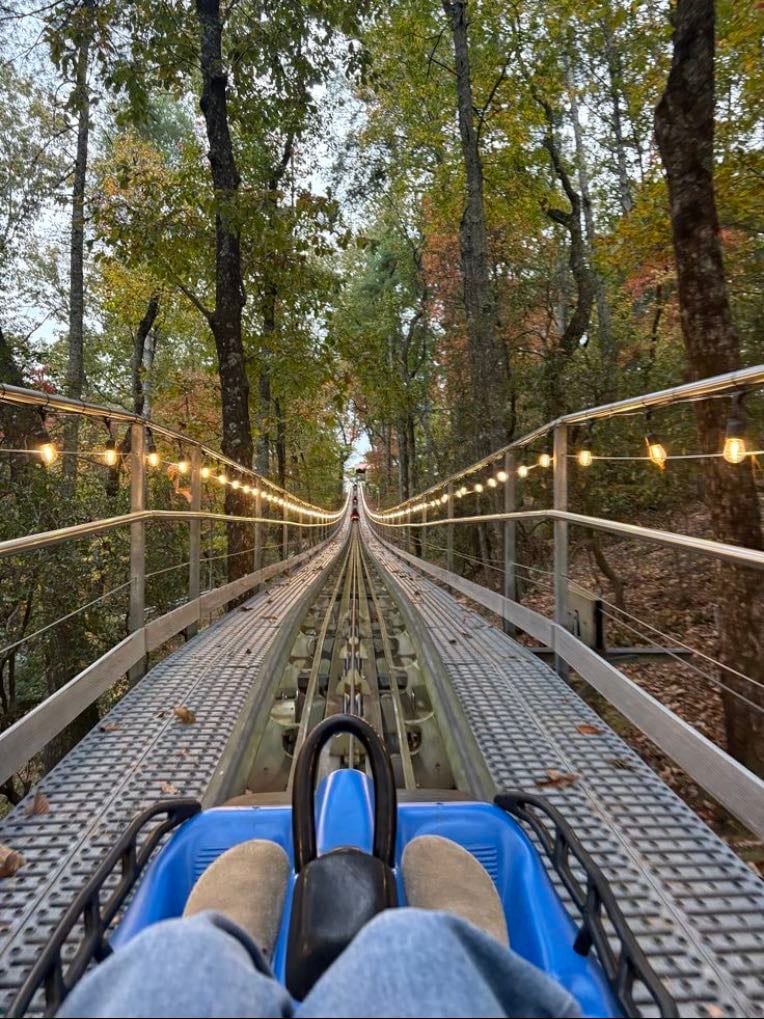 Ride on mountain carts!